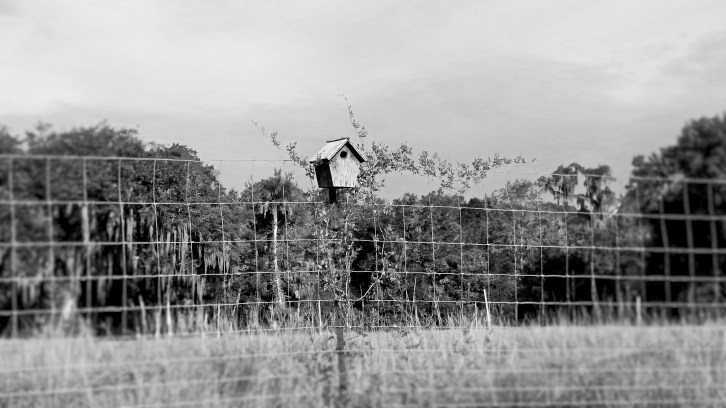 IMG_20150905_084721978 (2)